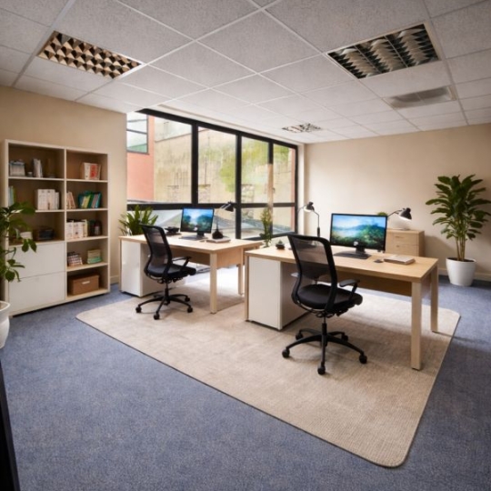 PROGEDIM / ESPLANADE IMMOBILIER : Office | SAINT-DENIS (93200) | 425 m2 | 4 250 &euro; 