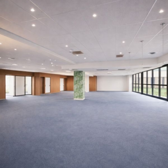  PROGEDIM / ESPLANADE IMMOBILIER : Office | SAINT-DENIS (93200) | 425 m2 | 4 250 &euro; 