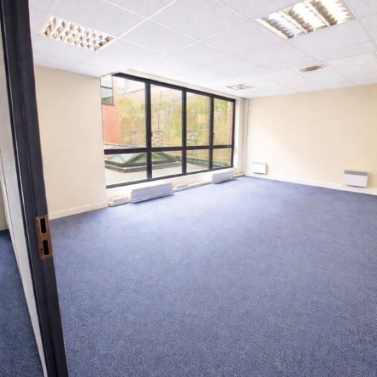  PROGEDIM / ESPLANADE IMMOBILIER : Office | SAINT-DENIS (93200) | 425 m2 | 4 250 &euro; 