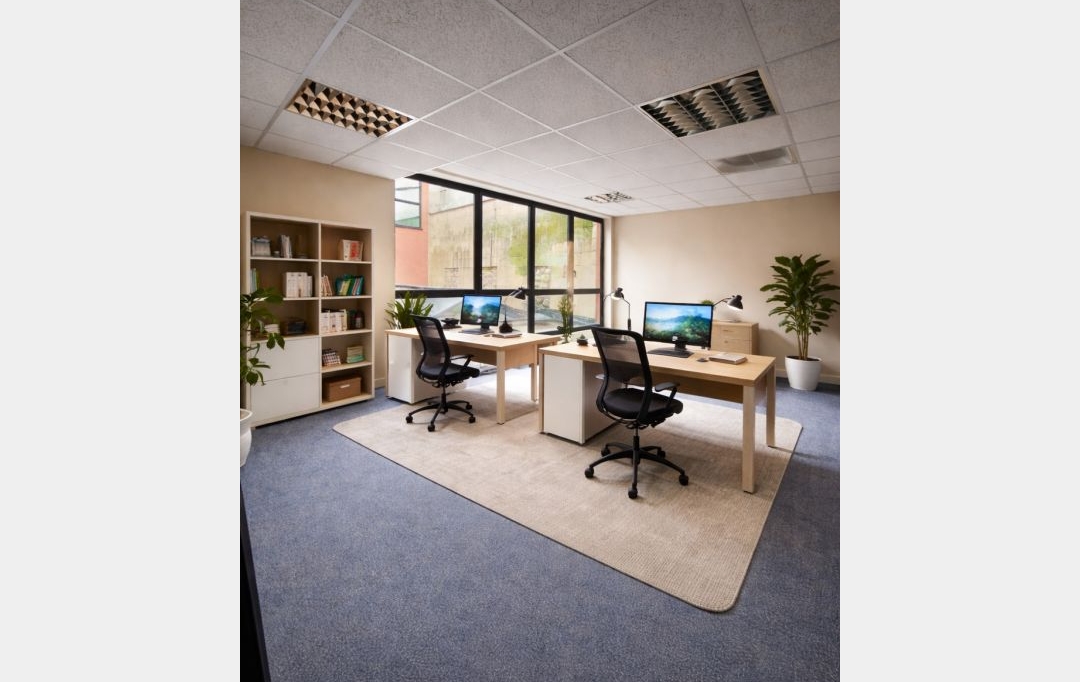 PROGEDIM / ESPLANADE IMMOBILIER : Office | SAINT-DENIS (93200) | 425 m2 | 4 250 &euro; 